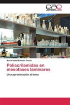 María Isabel Esteban Pacios - Poliacrilamidas en mesofases laminares