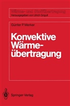 Günter P. Merker, Günter Peter Merker - Konvektive Wärmeübertragung