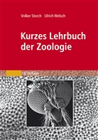 Storc, Volke Storch, Volker Storch, Welsch, Ulrich Welsch - Kurzes Lehrbuch der Zoologie