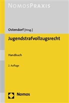 Heriber Ostendorf, Heribert Ostendorf - Jugendstrafvollzugsrecht