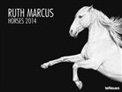 Ruth Marcus, Ruth Marcus - Horses 2013