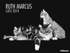Ruth Marcus, Ruth Marcus - Cats 2013