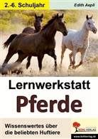 Edith Aepli - Lernwerkstatt Pferde