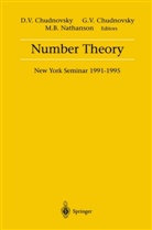 Melvyn B Nathanson, David V. Chudnovsky, Gregory V. Chudnovsky, Melvyn B. Nathanson, Gregor V Chudnovsky, Gregory V Chudnovsky - Number Theory