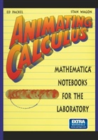 Ed Packel, Edward W. Packel, Ed Packet, Stan Wagon - Animating Calculus