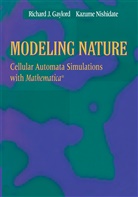 Richard J Gaylord, Richard J. Gaylord, Kazume Nishidate - Modeling Nature