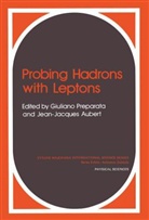 PREPARATA G., G. Preparata, Giuliano Preparata - Probing Hadrons with Leptons