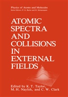 C W Clark, C. W. Clark, C.W. Clark, M H Nayfeh, M H Nayfeh, M. H. Nayfeh... - Atomic Spectra and Collisions in External Fields
