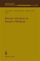 Golub Gene, Gene Golub, Anne Greenbaum, Mitchell Luskin - Recent Advances in Iterative Methods