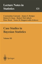 Robert E Kass et al, S. Fienberg, Constantine Gatsonis, James S. Hodges, Robert E. Kass, K. Krickeberg... - Case Studies in Bayesian Statistics. Vol.3