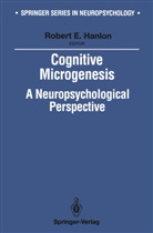 Robert Hanlon, Robert E. Hanlon, Robert E Hanlon, Robert E Hanlon, Robert E. Hanlon - Cognitive Microgenesis