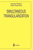 Heydar Radjavi, Peter Rosenthal - Simultaneous Triangularization