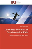 Anne-Sophie Demers, Demers-a - Les impacts decoulant de l