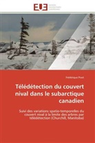 Frédérique Pivot, Pivot-f - Teledetection du couvert nival