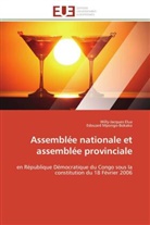 Willy-Jacque Elua, Willy-Jacques Elua, Edouard Mpongo-Bokako - Assemblee nationale et assemblee