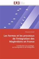 Elhoussaine Oussiali, Oussiali-E - Les formes et les processus de l