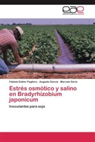 August García, Augusto García, Fabiola Esthe Pagliero, Fabiola Esther Pagliero, Ma Soria, Marcelo Soria - Estrés osmótico y salino en Bradyrhizobium japonicum