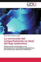 Pablo antonio Mendoza hidalgo - La corrección del comportamiento no ideal del flujo epitérmico