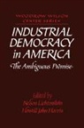 Nelson Lichtenstein, Lee H. Hamilton, Howell John Harris, Nelson Lichtenstein - Industrial Democracy in America