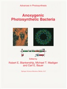 C. E. Bauer, C.E. Bauer, R. E. Blankenship, R.E. Blankenship, M. T. Madigan, Michael T. Madigan - Anoxygenic Photosynthetic Bacteria, 2 Teile