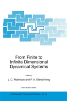 Paul A. Glendinning, James Robinson, James C. Robinson - From Finite to Infinite Dimensional Dynamical Systems