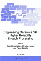 G. N. Babini, G. N. Babini, G.N. Babini, Gian Nicola Babini, etc., Miroslav Haviar... - Engineering Ceramics '96: Higher Reliability through Processing