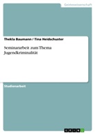 Thekla Baumann, Tin Heidschuster, Tina Heidschuster - Seminararbeit zum Thema Jugendkriminalität