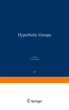 da la Harpe, da la Harpe, Ghy, GHYS, Ghys, Etienne Ghys... - Sur les Groupes Hyperboliques d'après Mikhael Gromov