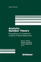Bruce C. Berndt, Harold Diamond, Harold G. Diamond, Adolf J Hildebrand, Adolf J. Hildebrand - Analytic Number Theory:The Halberstam Festschrift 2