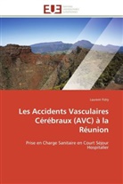 Laurent Fidry, Fidry-l - Les accidents vasculaires