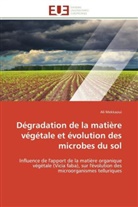 Ali Mekkaoui, Mekkaoui-a - Degradation de la matiere