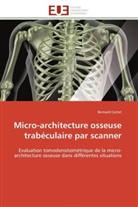 Bernard Cortet, Cortet-b - Micro architecture osseuse