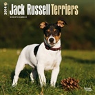 Not Available (NA) - Jack Russells 2013 Calendar