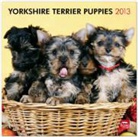 Not Available (NA) - Yorkshire Terrier Puppies 2013 Calendar