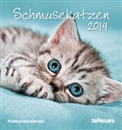 Katzen, Postkartenkalender 2013