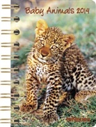 Baby Animals, Taschenkalender 2013