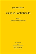 Jörg Benedict - Culpa in Contrahendo. Bd.1
