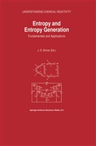 J S Shiner, J. S. Shiner, J.S. Shiner - Entropy and Entropy Generation