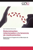 Ayari Guadalupe Avila Larreal - Determinantes relacionados a la tenencia de medicamentos