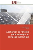 Boumédien Benyoucef, Boumédièn Benyoucef, Boumédiene Benyoucef, Boumédiène Benyoucef, Said Diaf, Rachi Maouedj... - Application de l energie