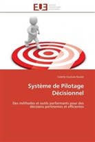 Colette Couture-Neulat, Couture-neulat-c - Systeme de pilotage decisionnel