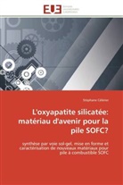 Stéphane Célérier, Celerier-s - L oxyapatite silicatee: materiau