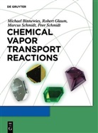 Michae Binnewies, Michael Binnewies, Rober Glaum, Robert Glaum, Marcus Schmidt, Marcus e Schmidt... - Chemical Vapour Transport Reactions