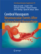 Opeolu M. Adeoye, Norberto Andaluz, Joseph F. Clark, Josep F Clark, Joseph F Clark, Jed A. Hartings... - Cerebral Vasospasm: Neurovascular Events After Subarachnoid Hemorrhage
