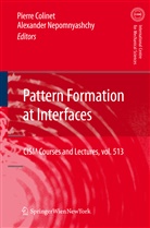 Pierr Colinet, Pierre Colinet, Nepomnyashchy, Nepomnyashchy, Alexander Nepomnyashchy - Pattern Formation at Interfaces