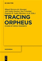 Raquel Martín Hernández, Miguel Herrero de Jáuregui, An Isabel Jiménez San Cristóbal, Ana Isabel Jiménez San Cristóbal, Ana I. Jiménez San Cristóbal, Ana Isabel Jiménez San Cristóbal... - Tracing Orpheus