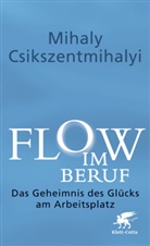 Mihaly Csikszentmihalyi - Flow im Beruf