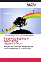 Ig Castañeda Zapata, Ignacio Castañeda Zapata, Leonor Emili Delgado Abella, Leonor Emilia Delgado Abella - Psicología Positiva y Aprendizaje Organizacional