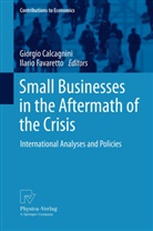 Giorgi Calcagnini, Giorgio Calcagnini, Favaretto, Favaretto, Ilario Favaretto - Small Businesses in the Aftermath of the Crisis