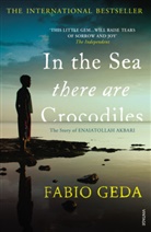 Fabio Geda - In the Sea There are Crocodiles